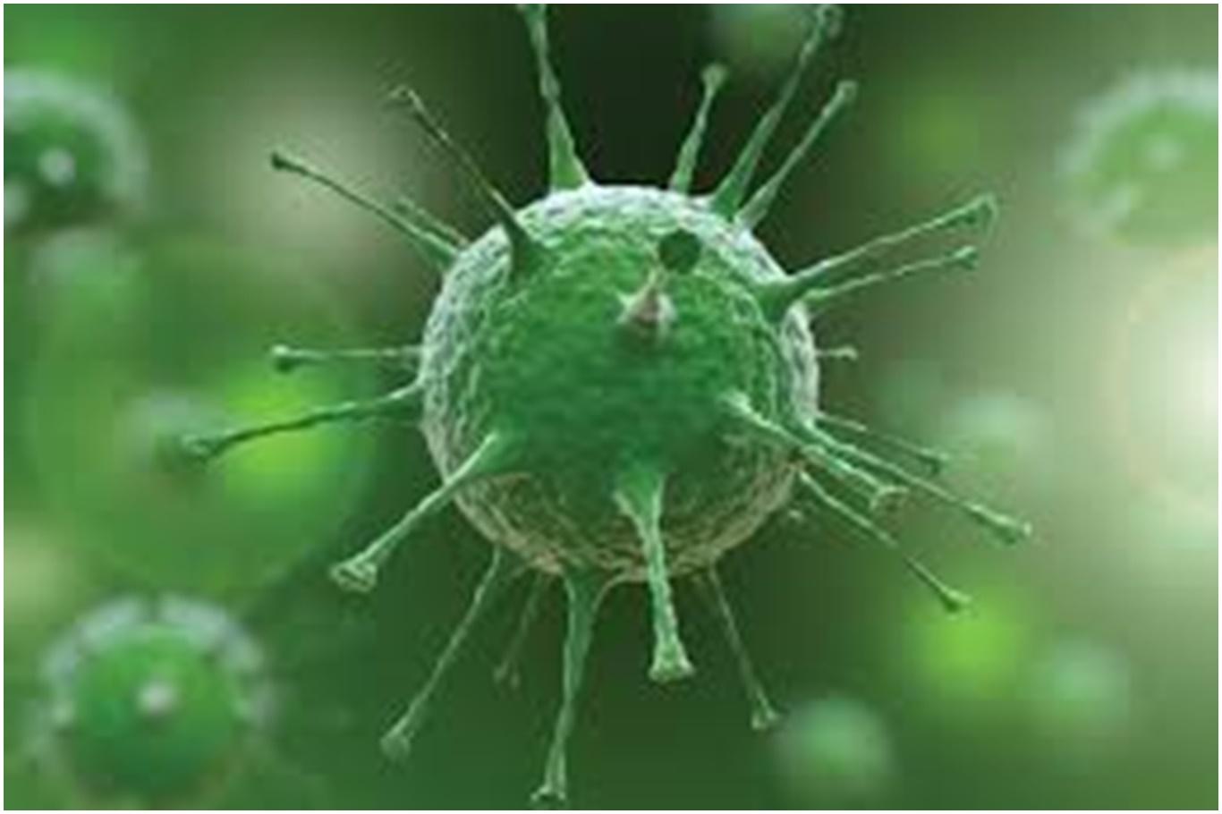 Son 24 saatte Coronavirus’ten ölenlerin sayısı 5 bini geçti